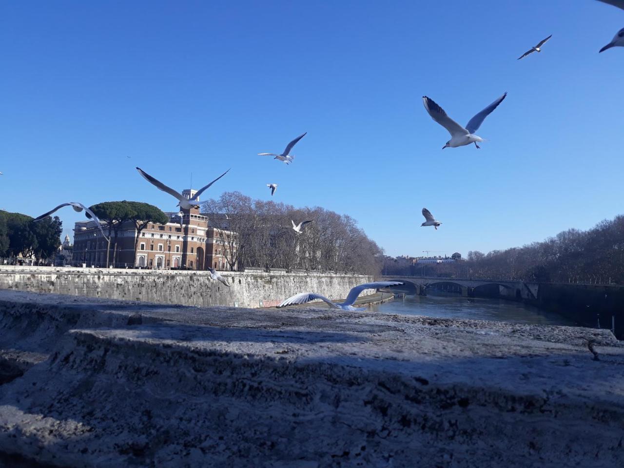 Lungotevere Collection Suite Rome Luaran gambar